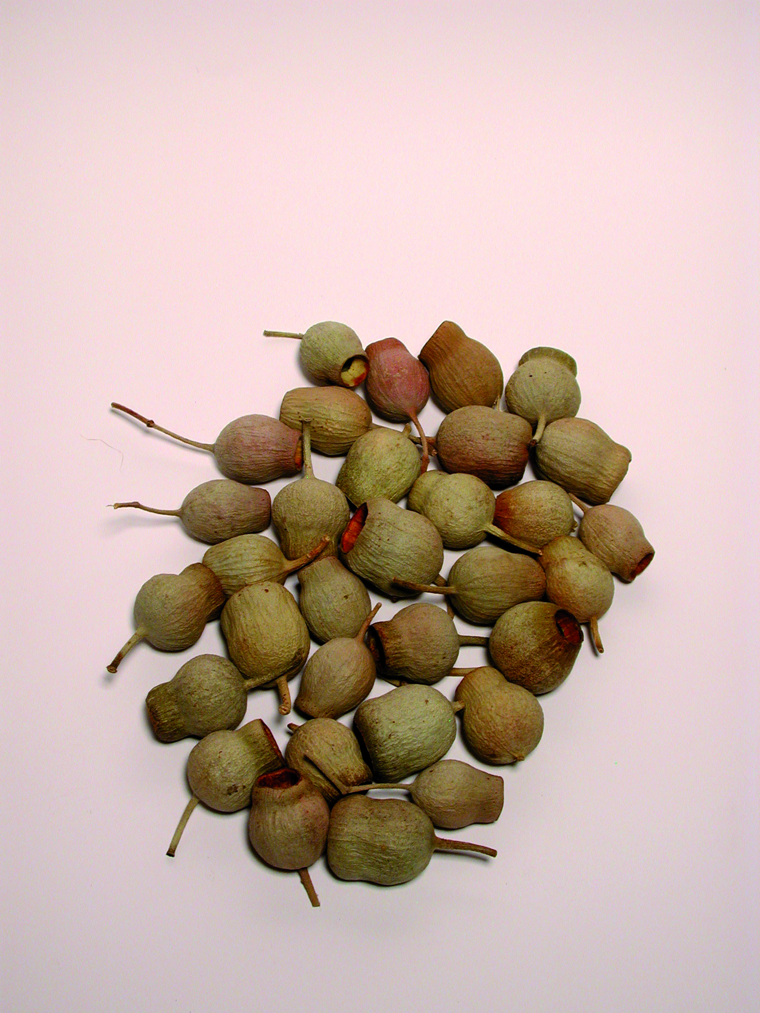 Bellgum lose ( ca. 135 St. Kg )