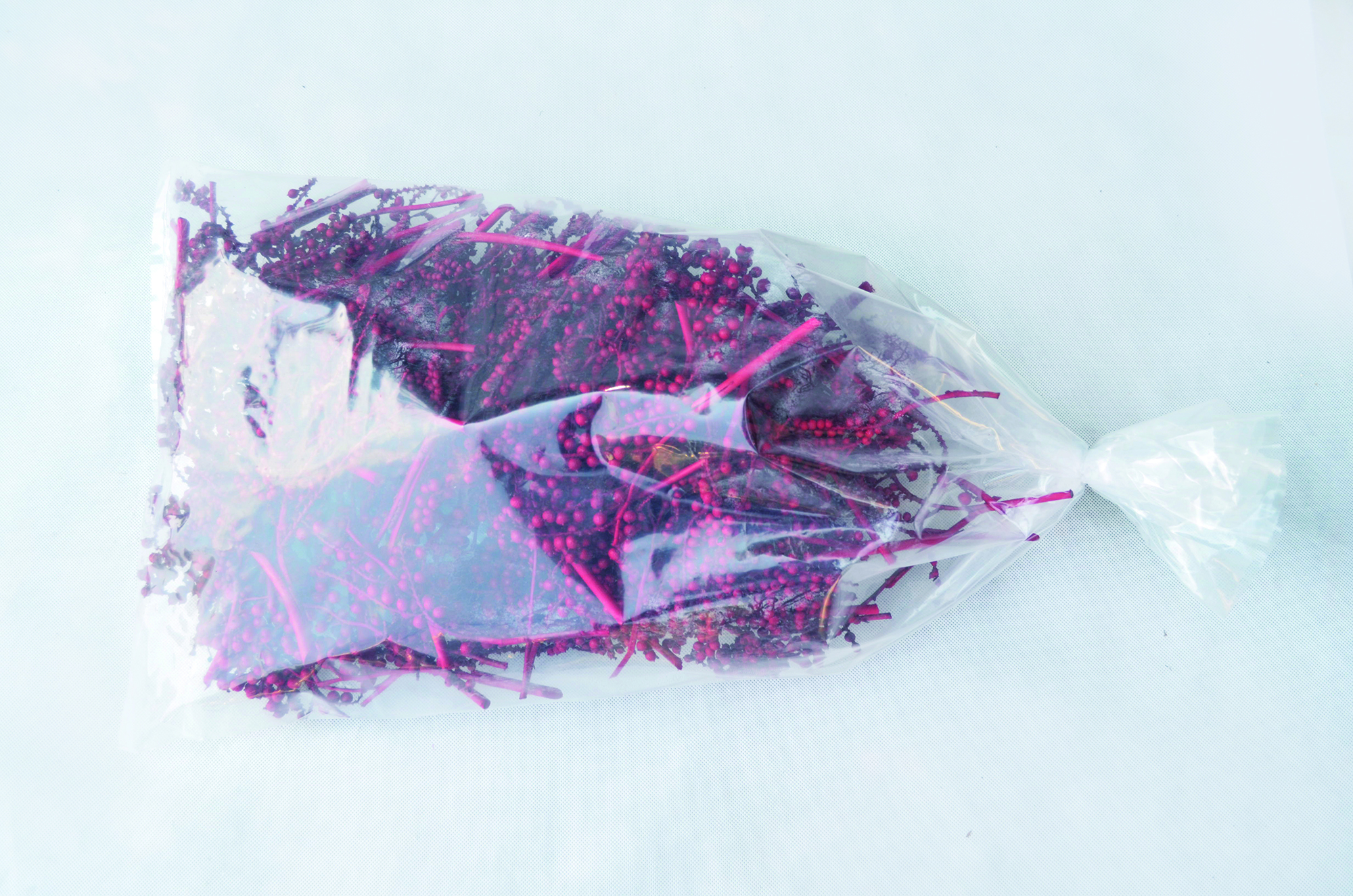 Canella normal rot 100 Stk (2)