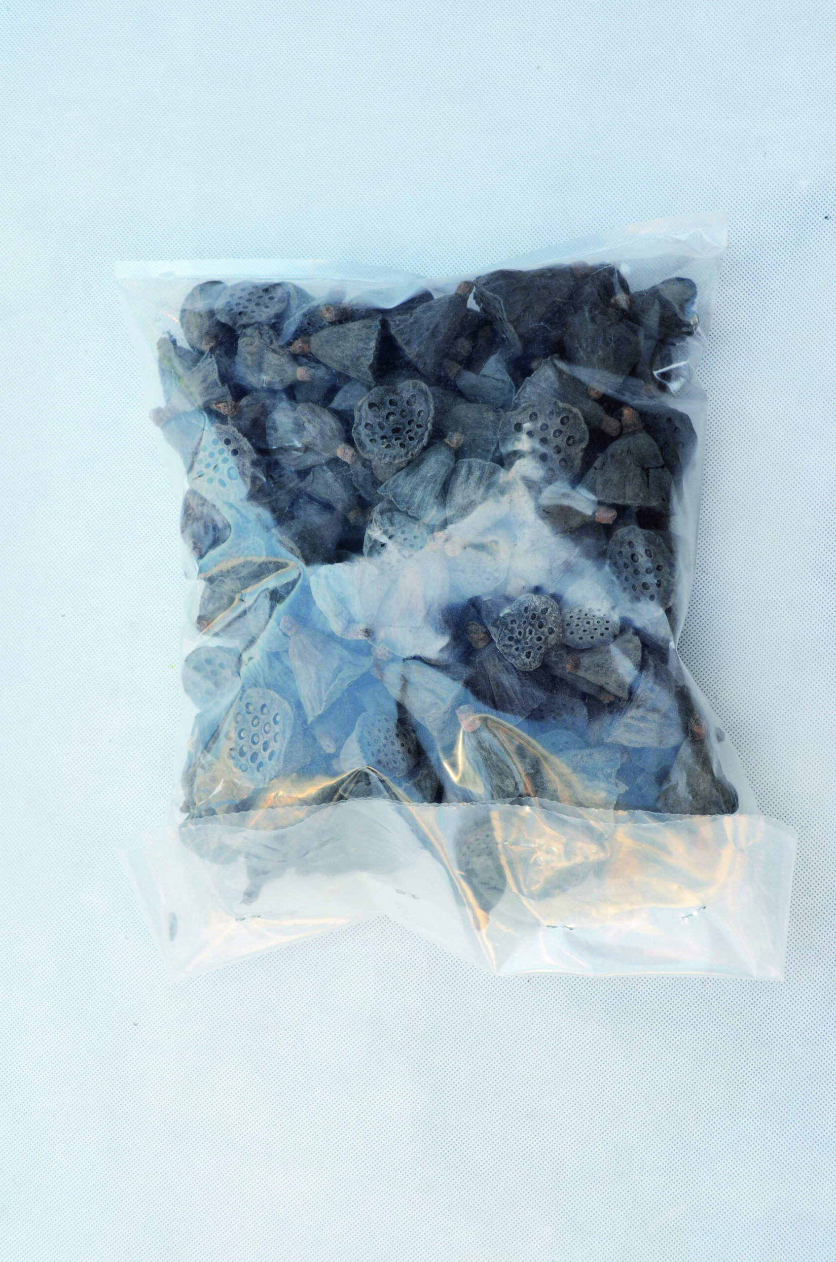 Lotus mini 2-4 cm natural 150 Stk (1)