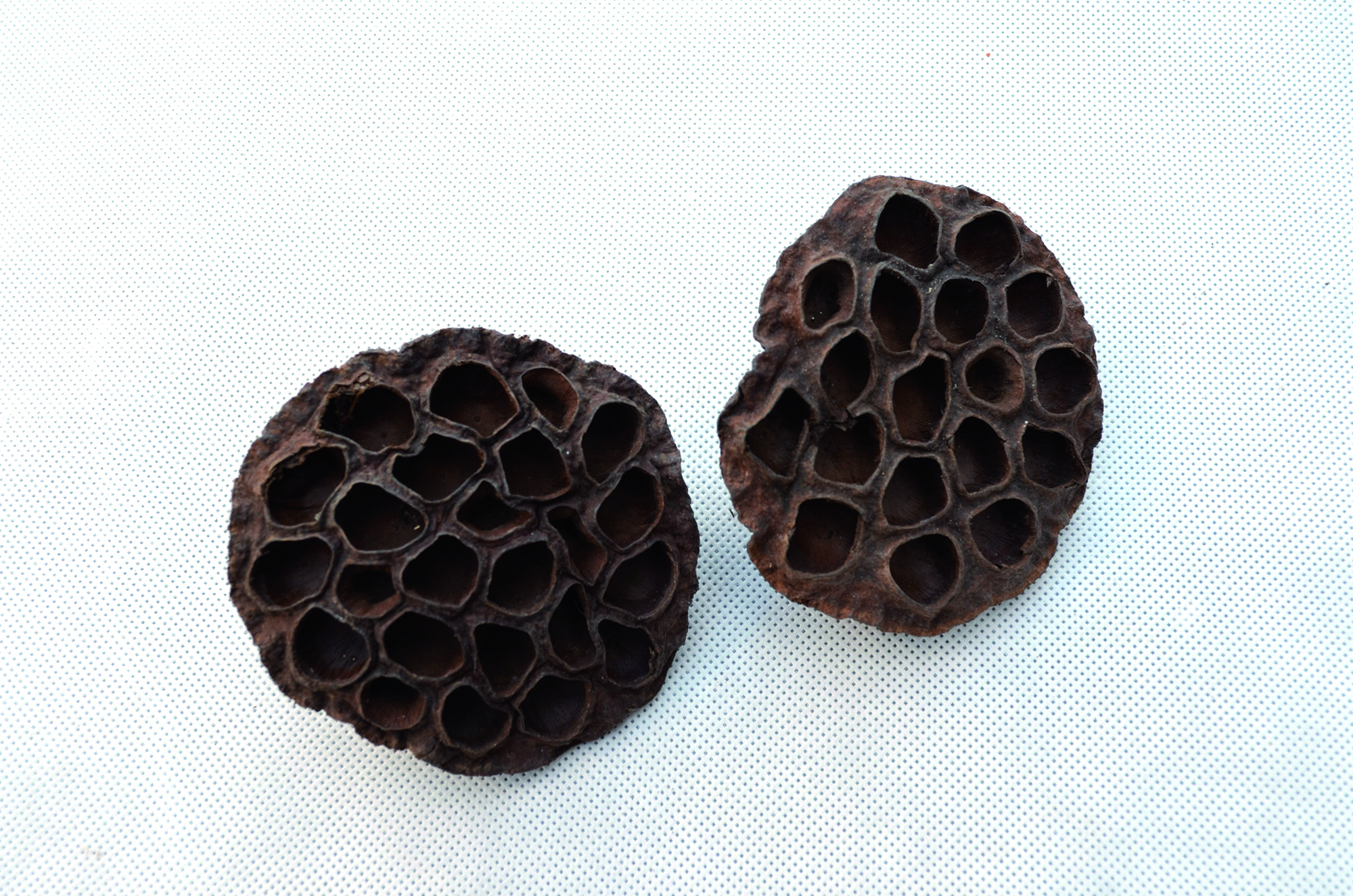 Lotus natural 100 Stk (3)