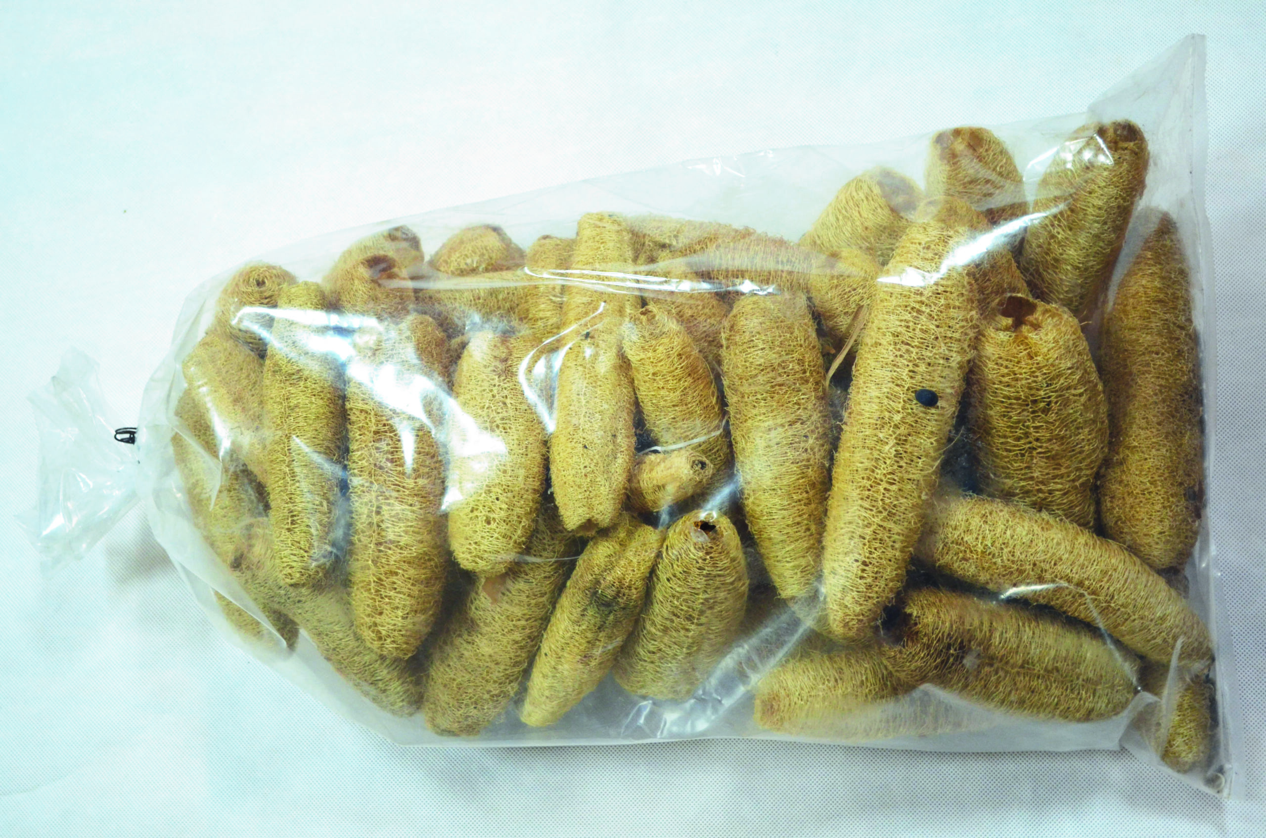 Lufa natur (2) 100 Stk