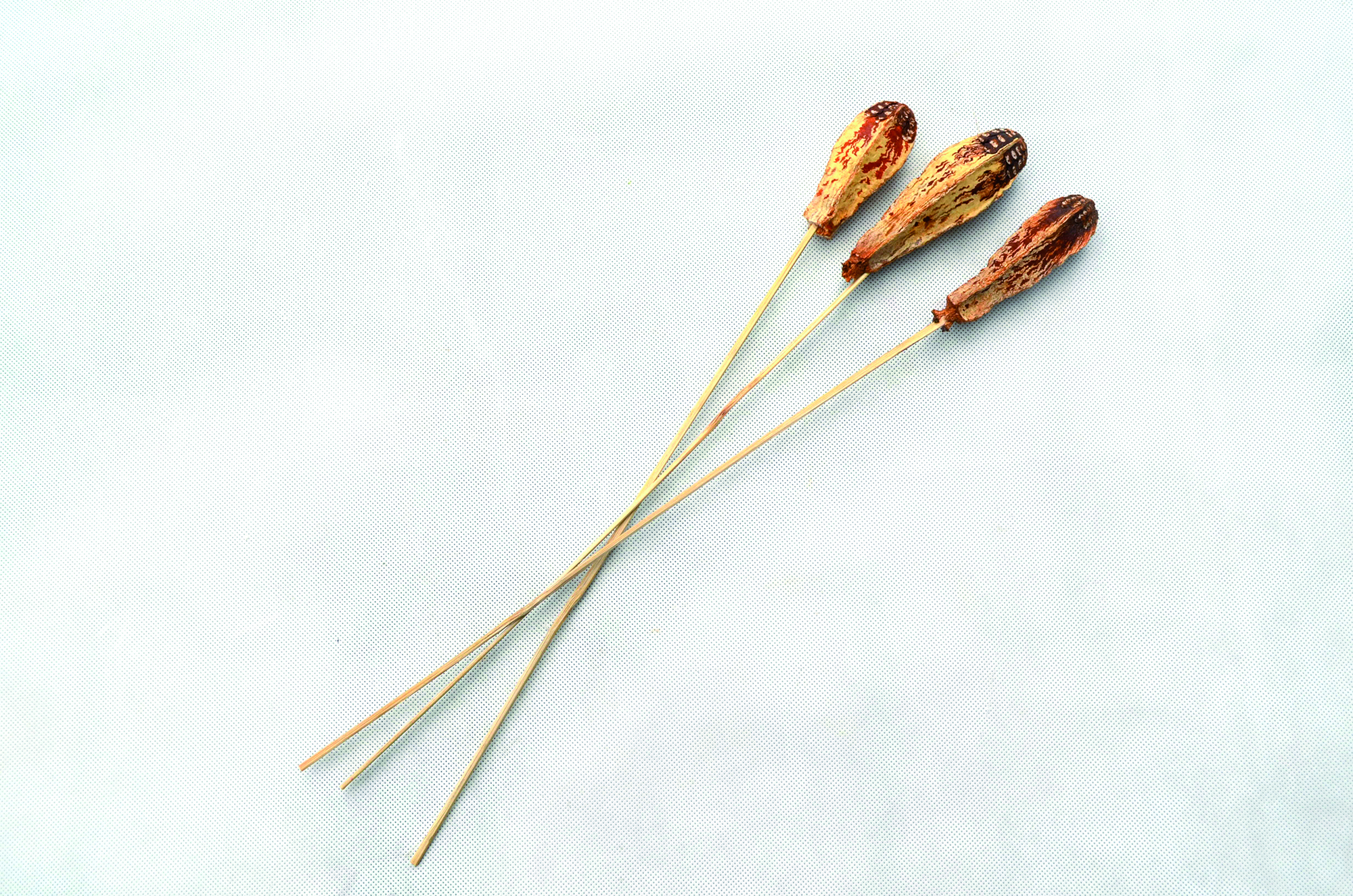 Mehogony natur BST 100 Stk (3)