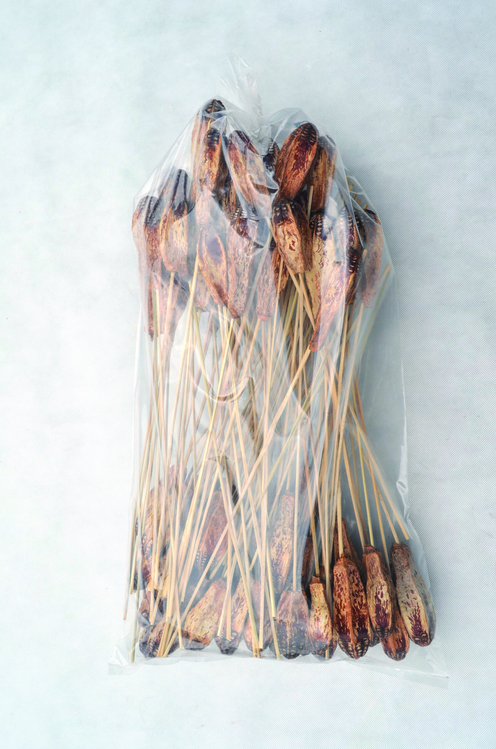 Mehogony natur BST 100 Stk (4)