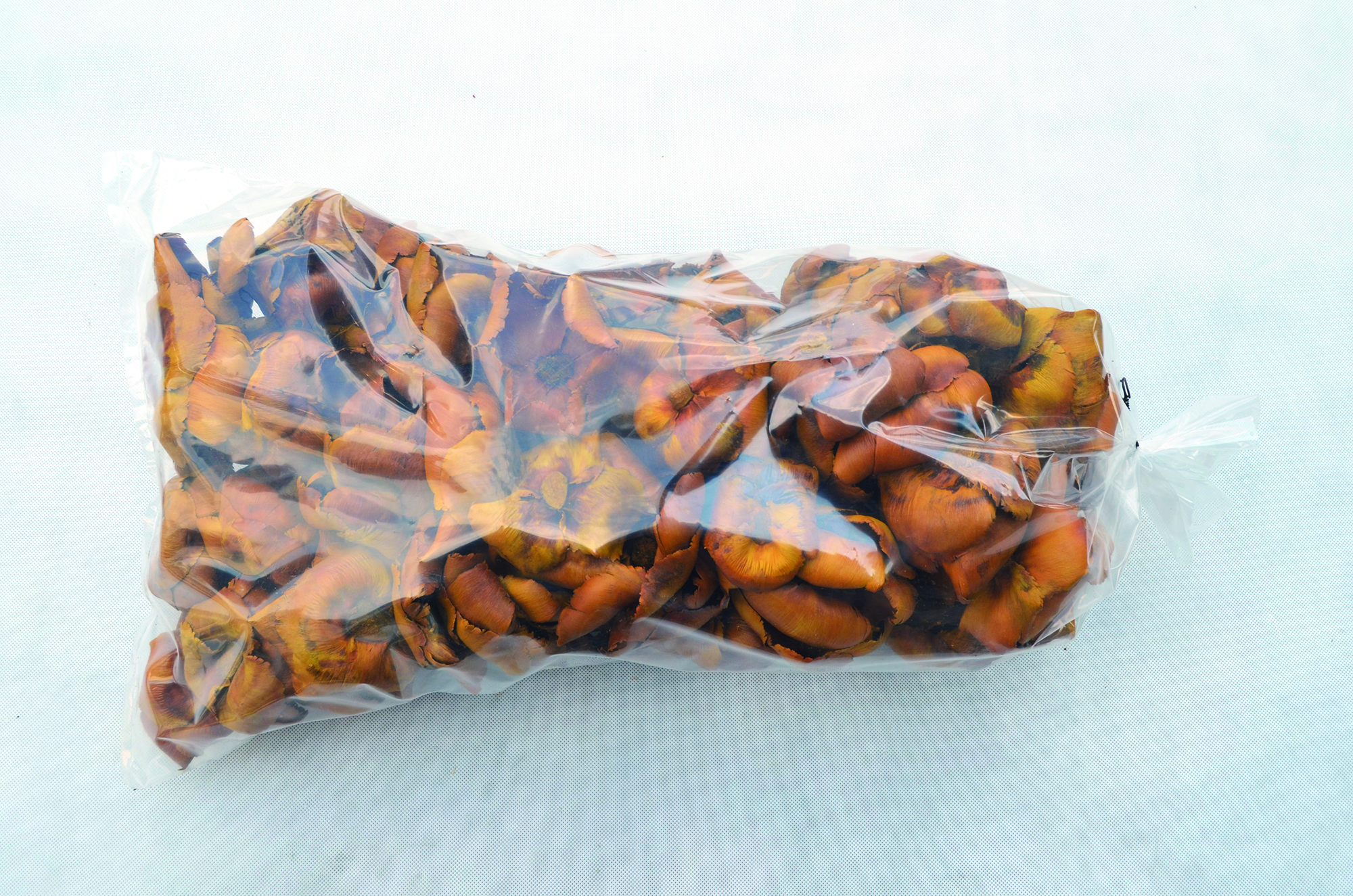 Palm cap gelb 100 Stk (2)