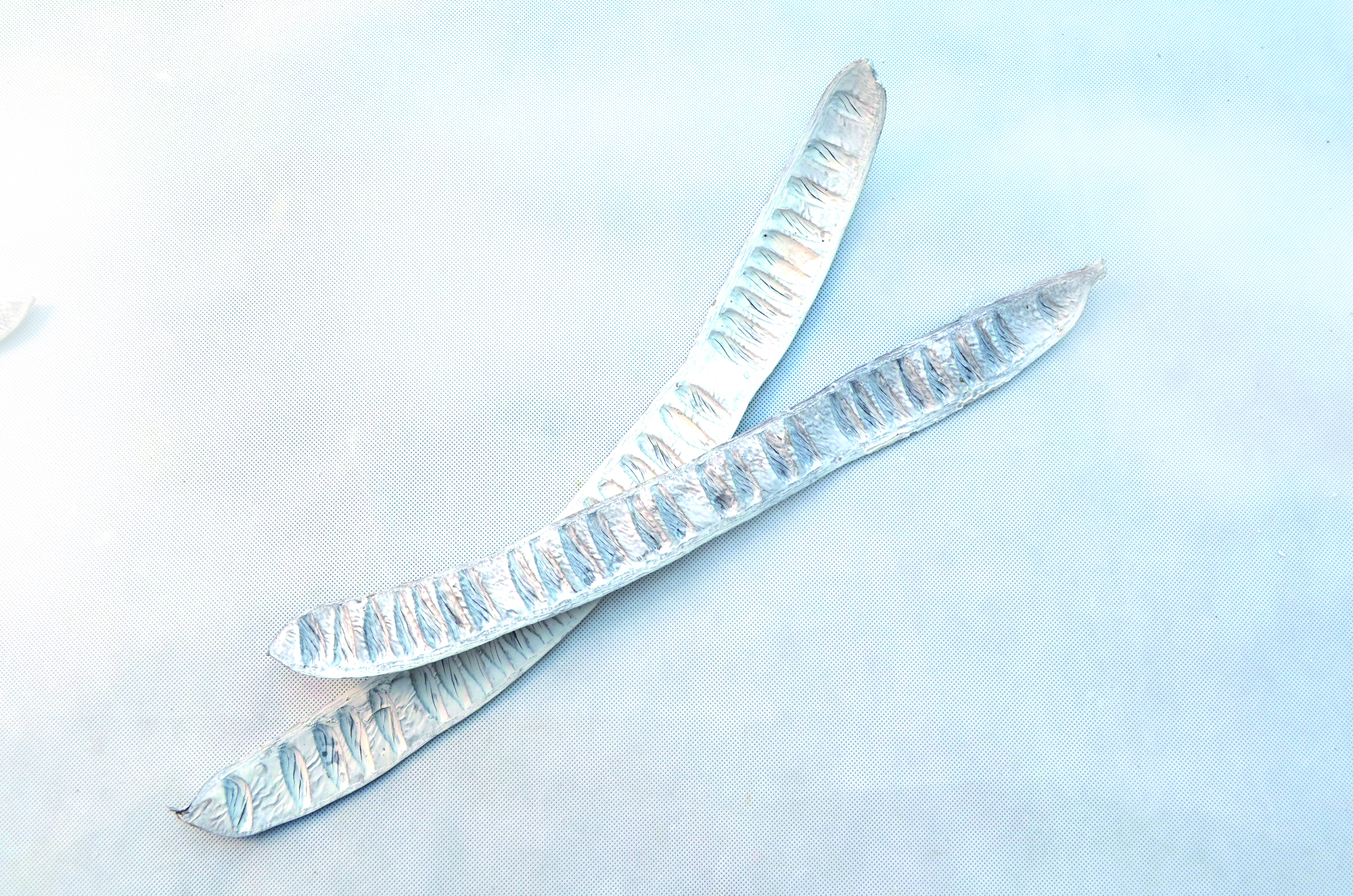 Step fruit snow white 100 Stk (2)