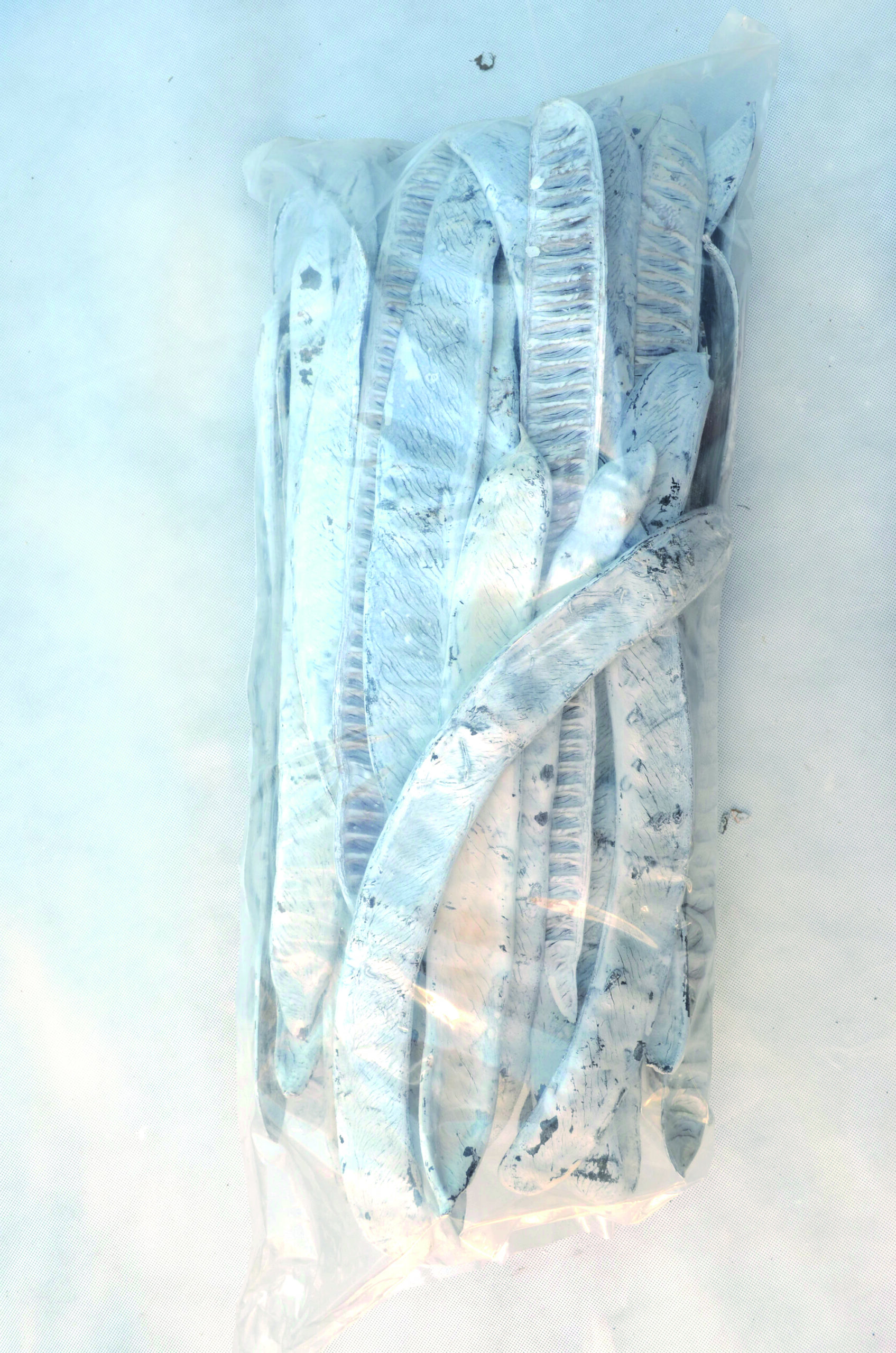 Step fruit snow white 100 Stk (3)