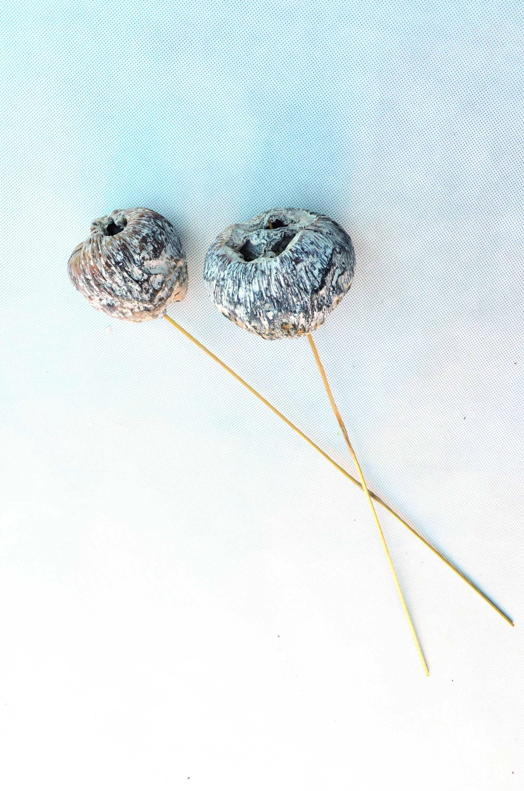 Talami frosted white BST 100 Stk (1)